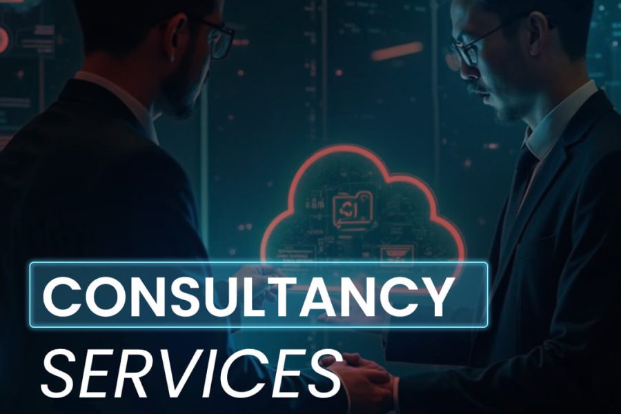 Consultancy Services copy